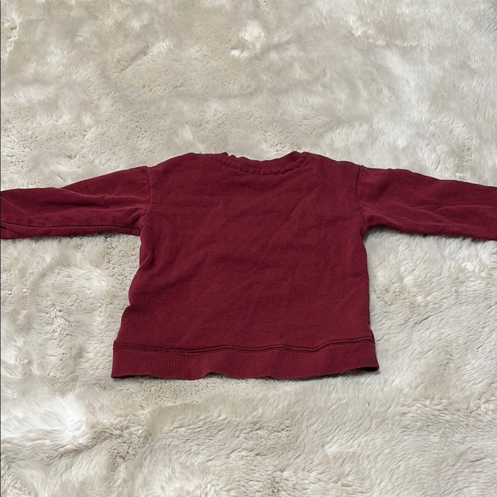 12m Harry Potter Hedwig Sweatshirt - Picture 4 of 4